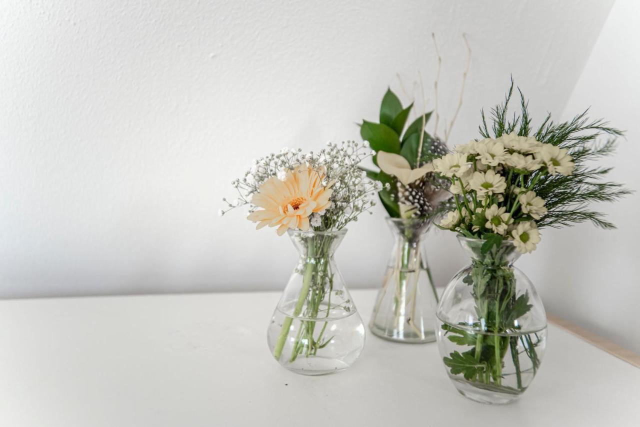 Brederode Studio'S & Apartments Zandvoort Ngoại thất bức ảnh